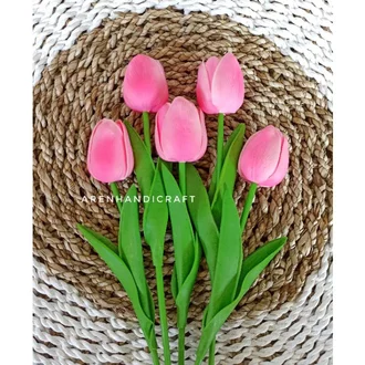 Detail Gambar Bunga Tulip Warna Pink Nomer 53