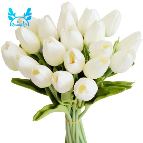 Detail Gambar Bunga Tulip Warna Putih Nomer 28