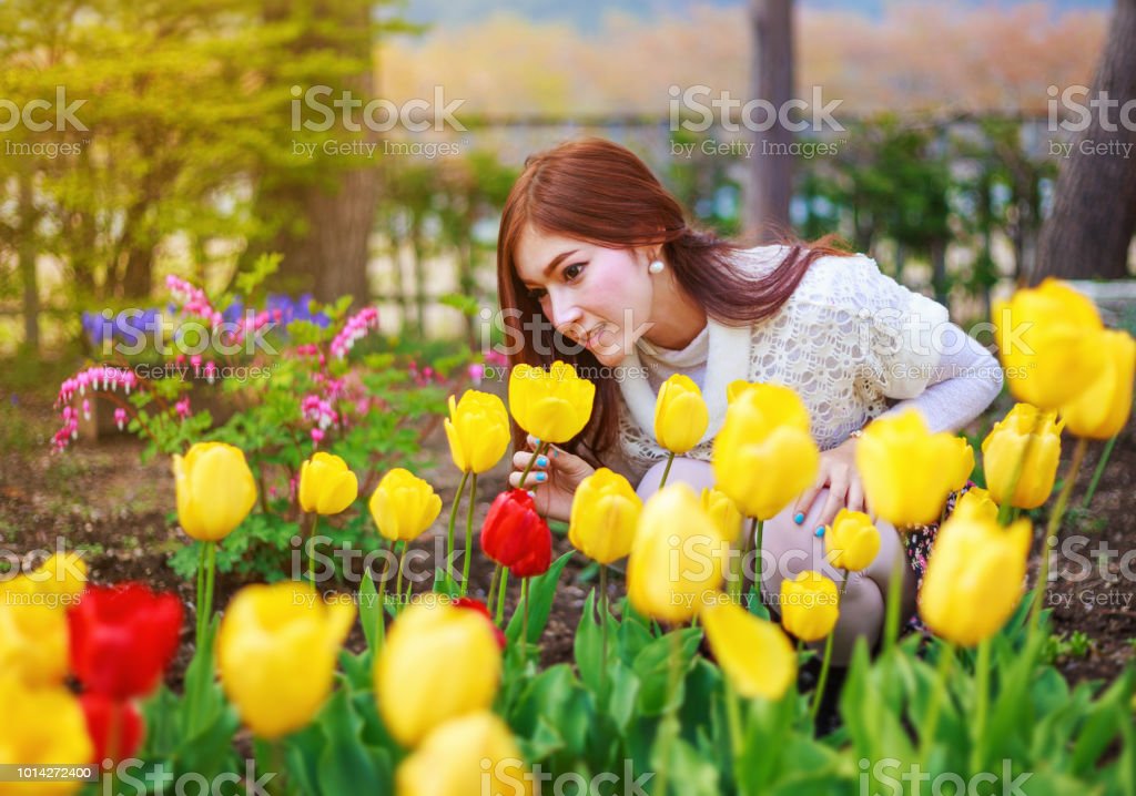 Detail Gambar Bunga Tulip Yang Cantik Nomer 39