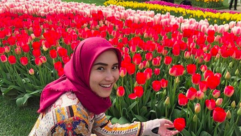 Detail Gambar Bunga Tulip Yang Cantik Nomer 49