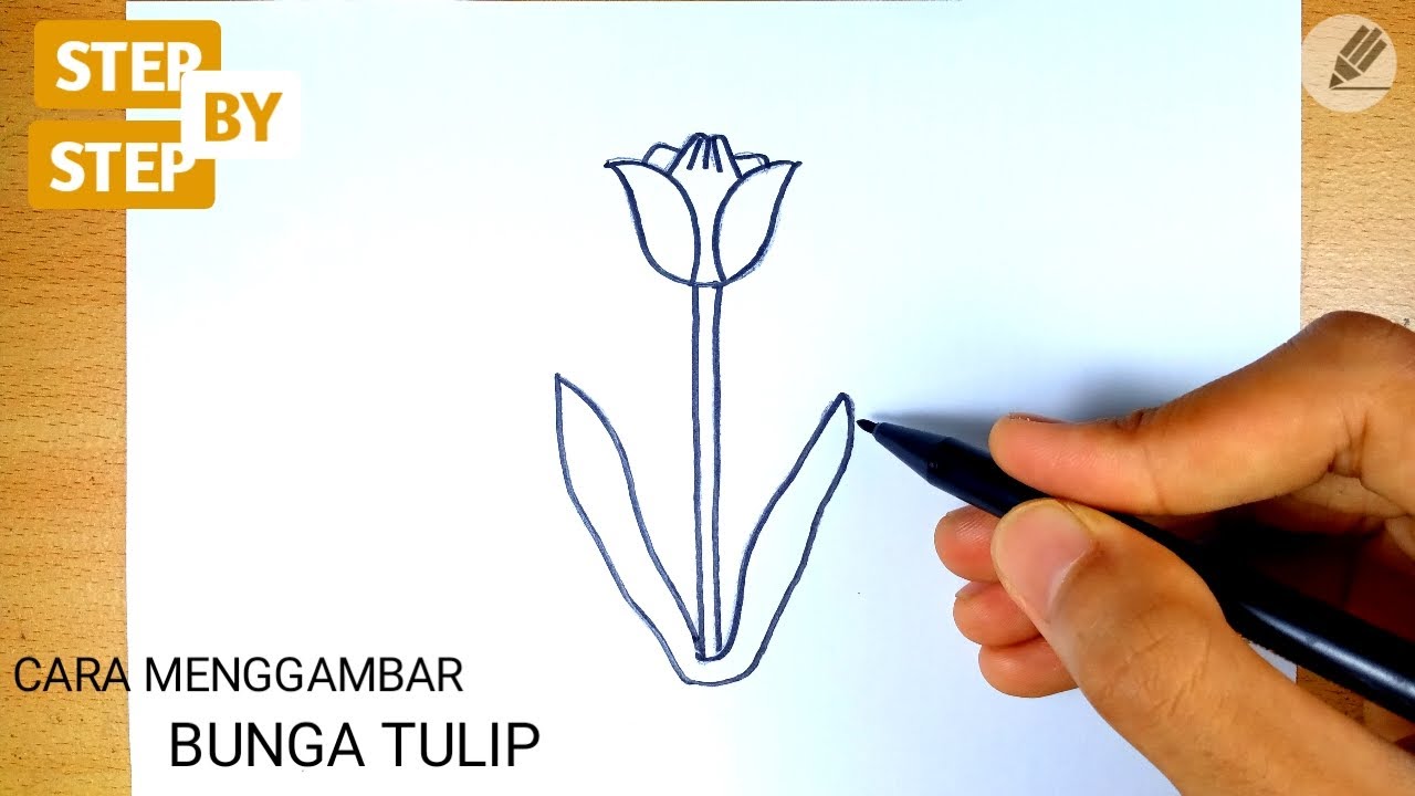 Detail Gambar Bunga Tulip Yang Mudah Nomer 16