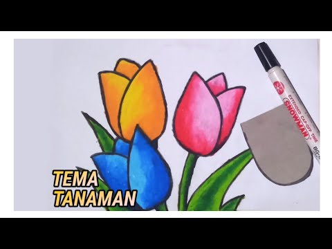 Detail Gambar Bunga Tulip Yang Mudah Nomer 21