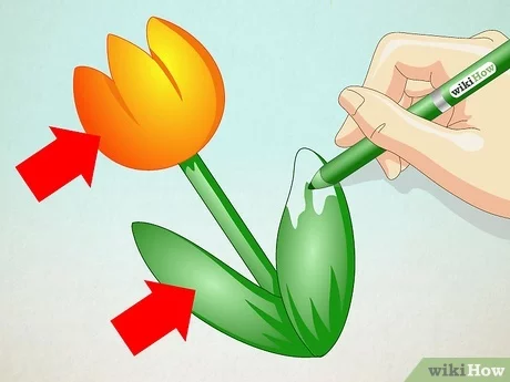 Detail Gambar Bunga Tulip Yang Mudah Nomer 23