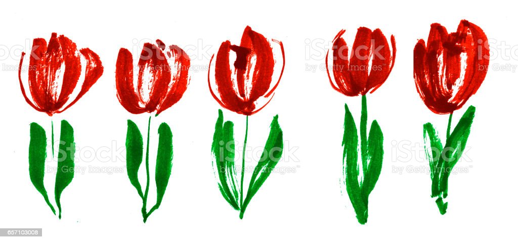 Detail Gambar Bunga Tulip Yang Mudah Digambar Nomer 32