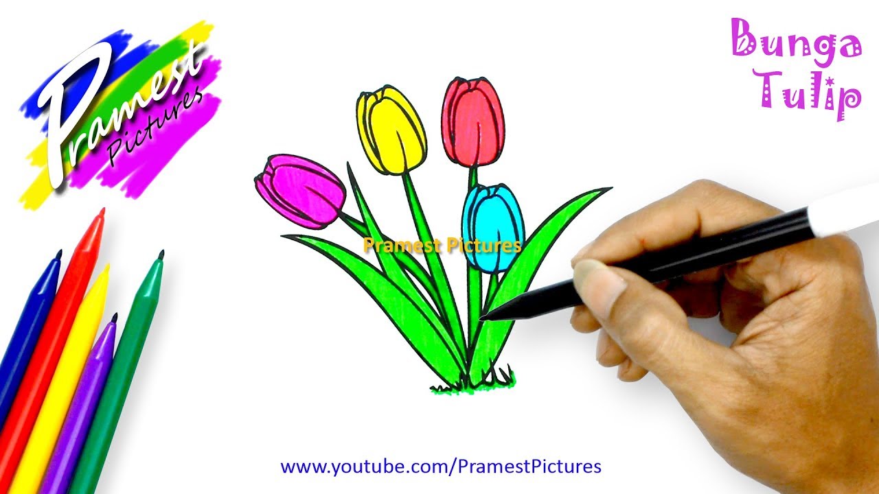 Detail Gambar Bunga Tulip Yang Mudah Digambar Nomer 57