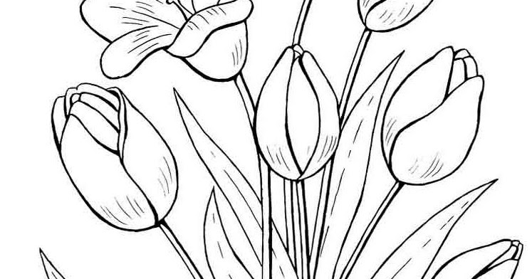 Detail Gambar Bunga Tulip Yang Sudah Diwarnai Nomer 15