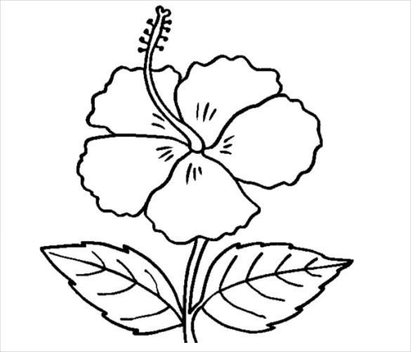 Detail Gambar Bunga Tunggal Animasi Hitam Putih Nomer 23