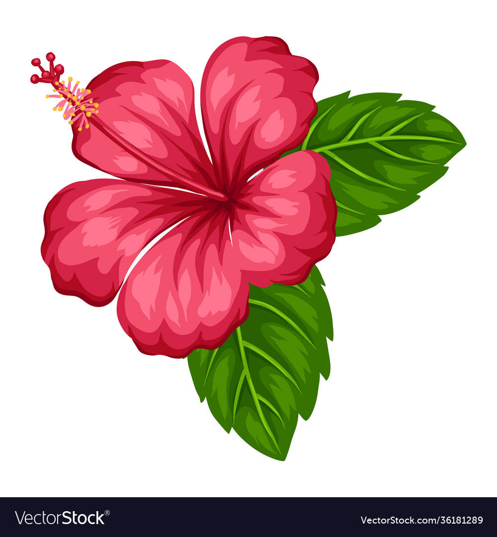 Detail Gambar Bunga Vector Nomer 27
