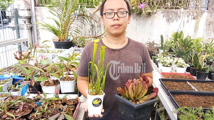 Detail Gambar Bunga Venus Flytrap Nomer 36