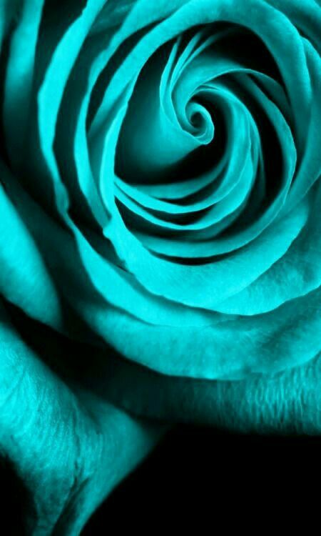 Detail Gambar Bunga Warna Hijau Tosca Nomer 27