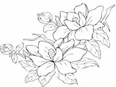 Detail Gambar Bunga Yang Belum Diwarnai Nomer 39