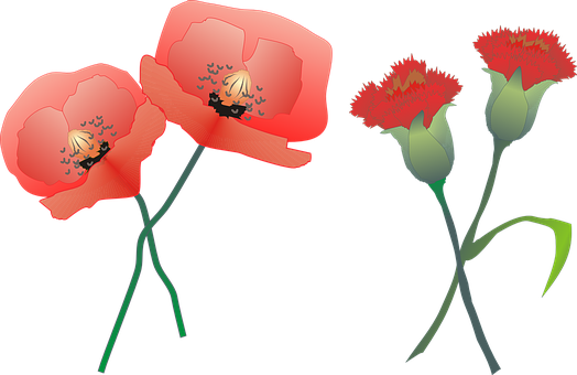 Detail Rote Mohnblume Nomer 24
