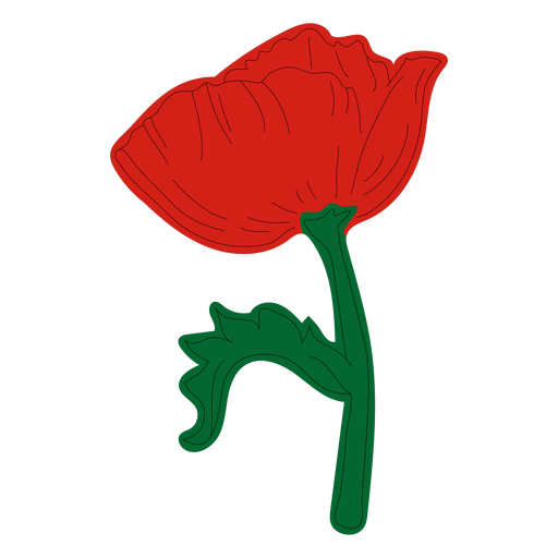 Detail Rote Mohnblume Nomer 25