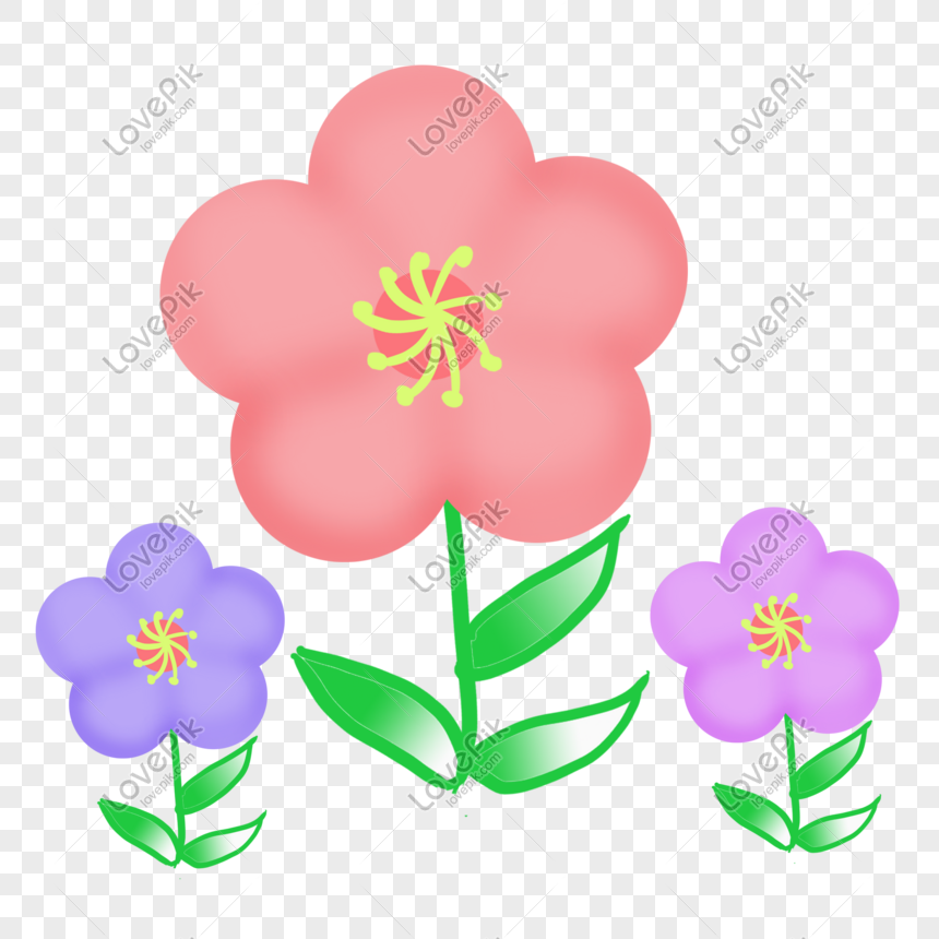 Detail Gambar Bunga Yang Berwarna Nomer 3