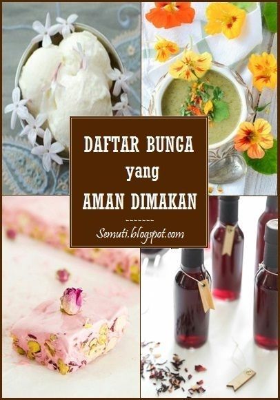 Detail Gambar Bunga Yang Bisa Dimakan Nomer 30