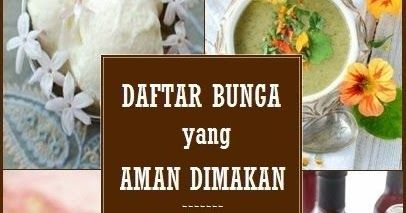 Detail Gambar Bunga Yang Bisa Dimakan Nomer 37