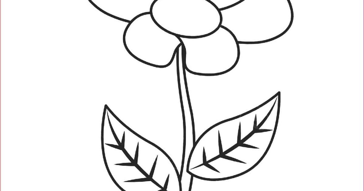 Detail Gambar Bunga Yang Bisa Diwarnai Nomer 17
