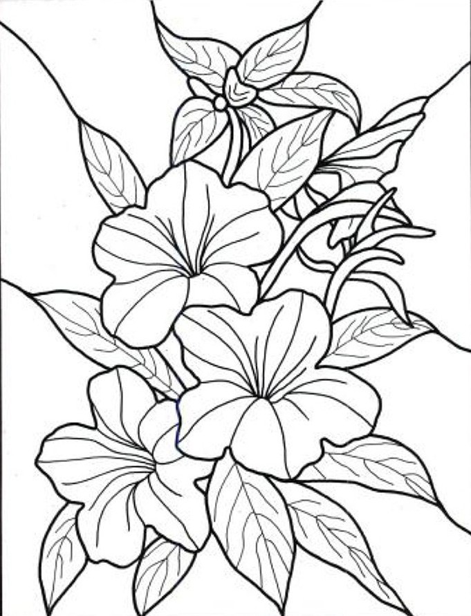 Detail Gambar Bunga Yang Bisa Diwarnai Nomer 31