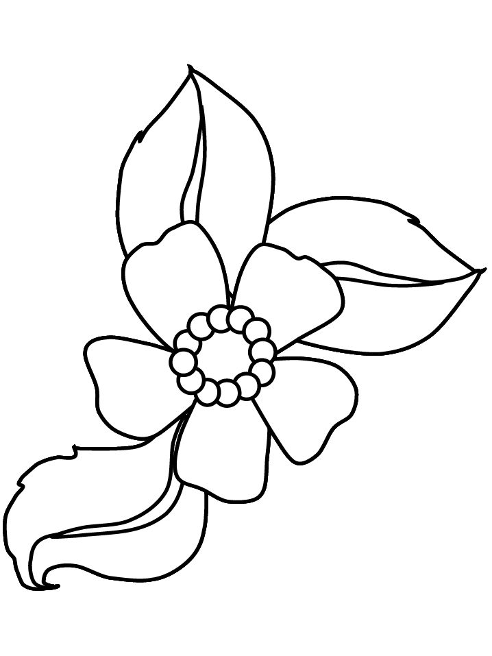 Detail Gambar Bunga Yang Mau Diwarnai Nomer 15
