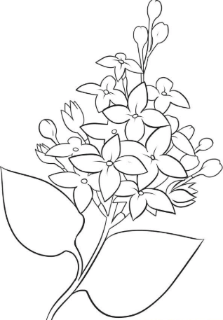 Detail Gambar Bunga Yang Mau Diwarnai Nomer 51
