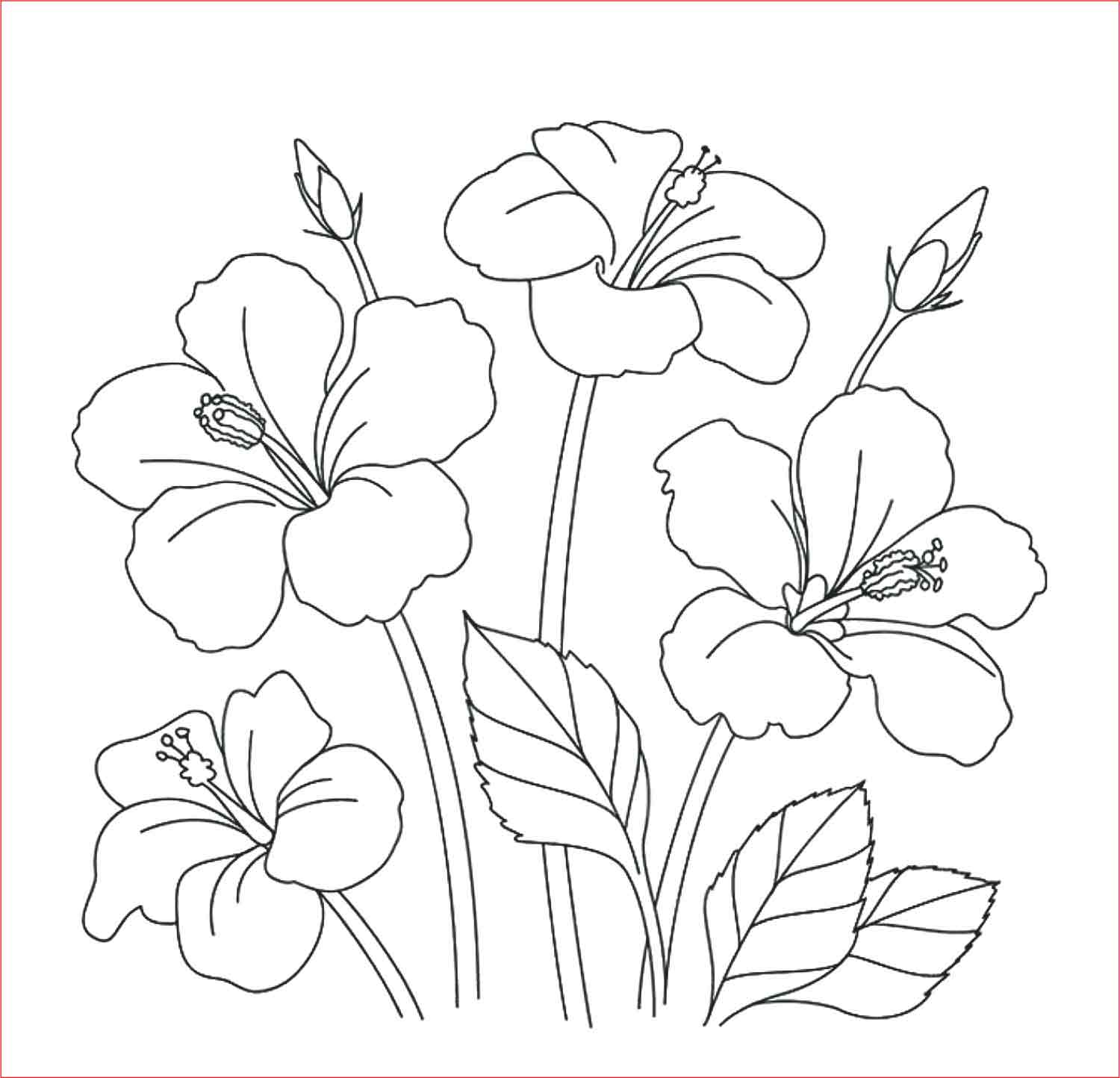 Gambar Bunga Yang Mudah Dan Indah - KibrisPDR