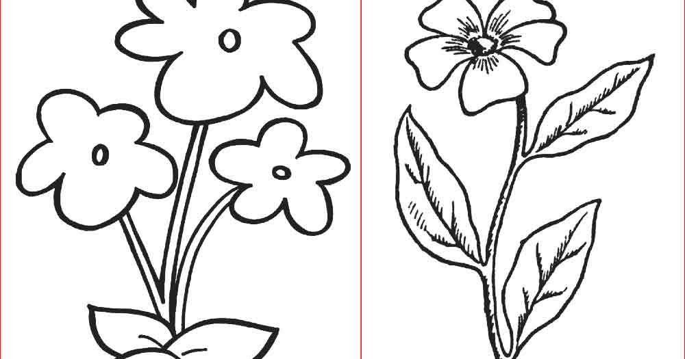 Detail Gambar Bunga Yang Mudah Digambar Nomer 32