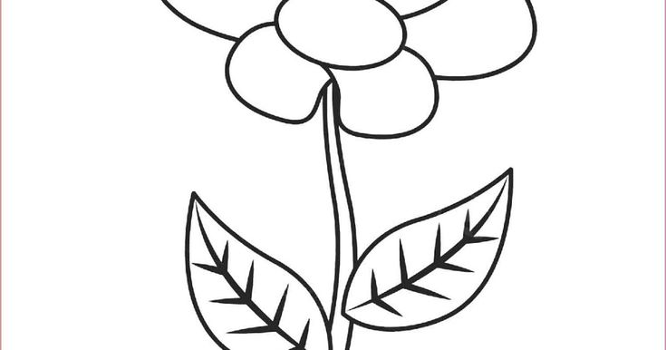 Detail Gambar Bunga Yang Mudah Ditiru Nomer 35