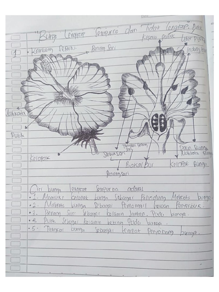 Detail Gambar Bunga Yang Sempurna Nomer 55