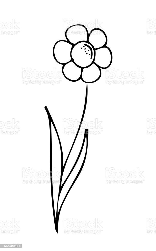 Detail Gambar Bunga Yang Seperti Kartun Nomer 11