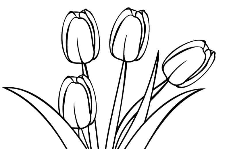 Detail Gambar Bunga Yang Simpel Nomer 47