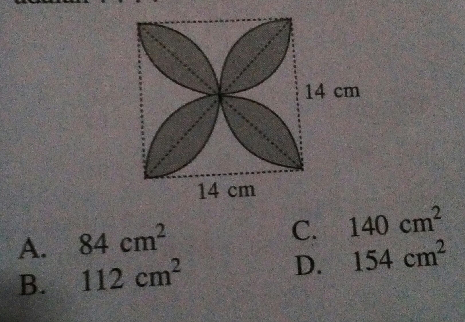 Detail Gambar Bunga Yg Diarsir Nomer 34