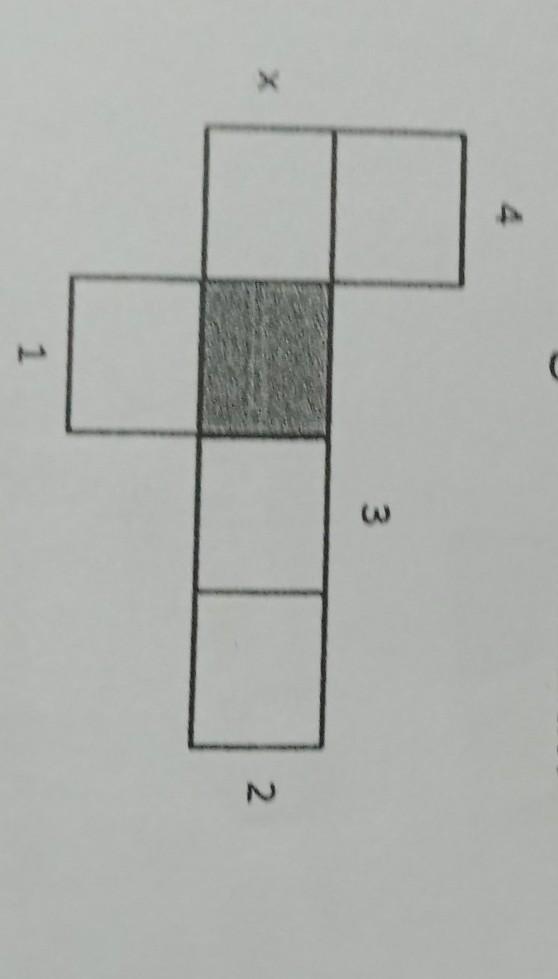 Detail Gambar Bunga Yg Diarsir Nomer 49