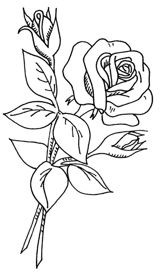 Detail Gambar Bunga Yg Mudah Di Gambar Nomer 26