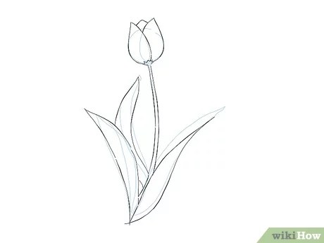 Detail Gambar Bunga Yg Mudah Di Tiru Nomer 46
