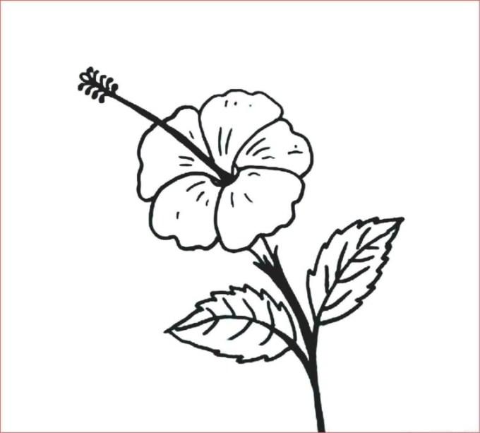 Detail Gambar Bunga Yg Mudah Dibuat Nomer 16
