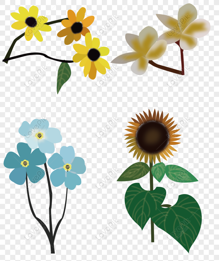 Detail Gambar Bunga Yg Paling Sederhana Nomer 22