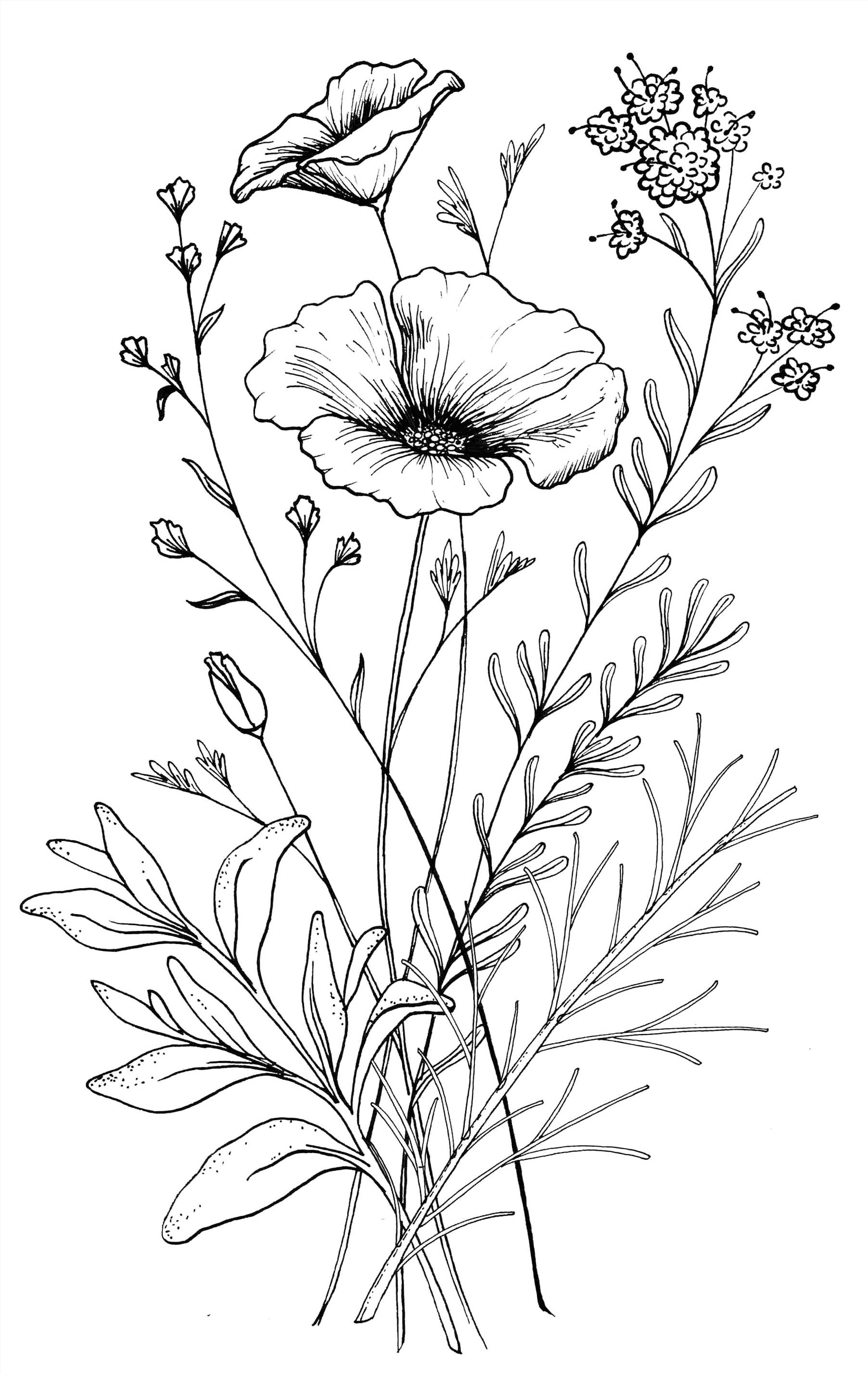 Detail Gambar Bunga Yg Sederhana Nomer 25