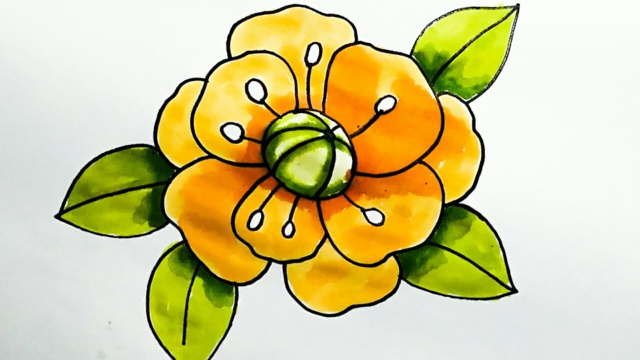 Detail Gambar Bunga Yg Sederhana Nomer 29