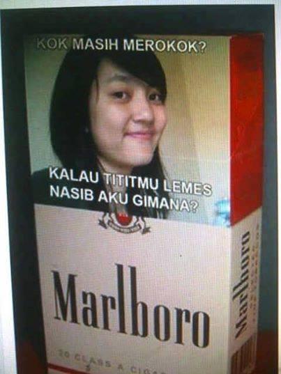 Detail Gambar Bungkus Rokok Lucu Nomer 46