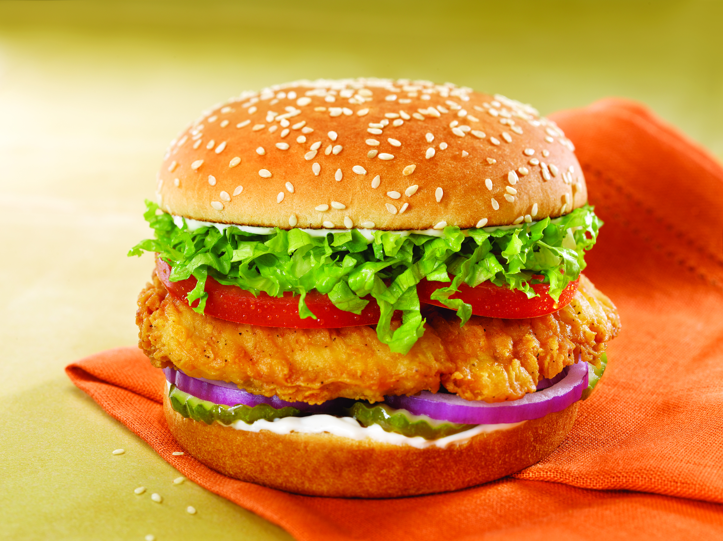 Gambar Burger Ayam - KibrisPDR