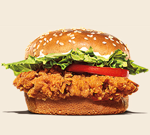 Detail Gambar Burger Ayam Nomer 41