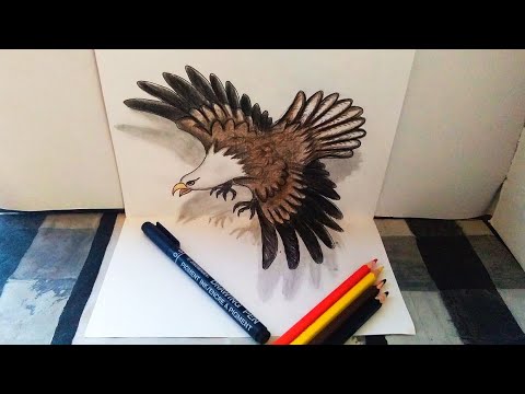 Detail Gambar Burung 3 Dimensi Nomer 2