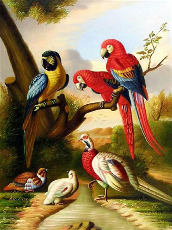 Detail Gambar Burung 3 Dimensi Nomer 12