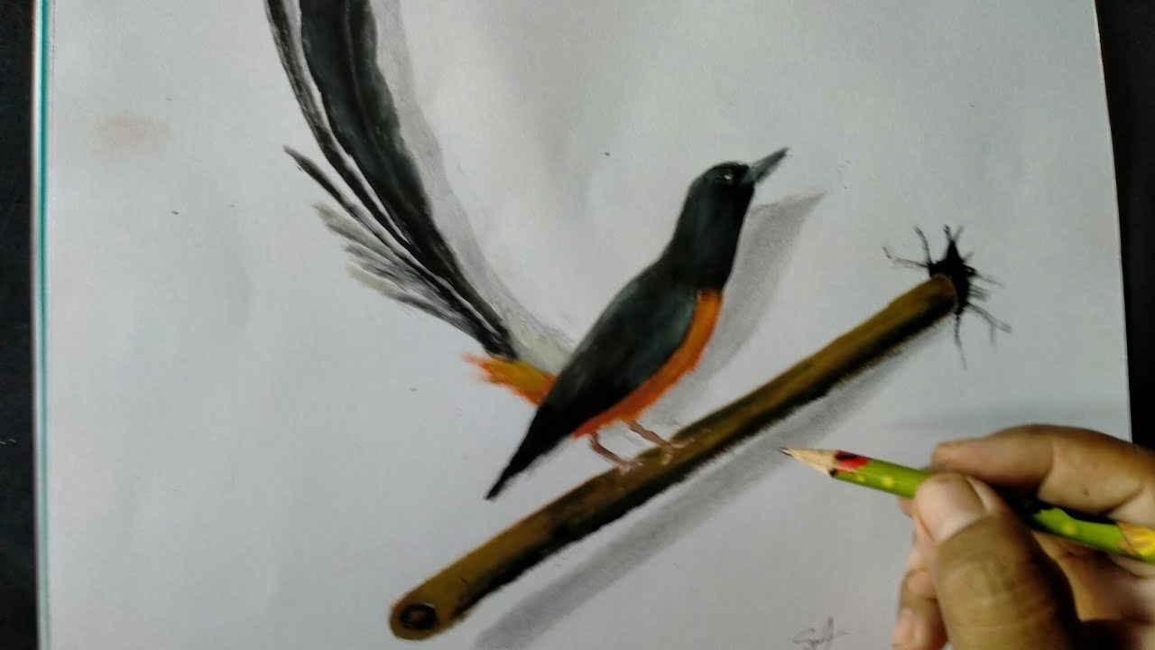 Detail Gambar Burung 3 Dimensi Nomer 14
