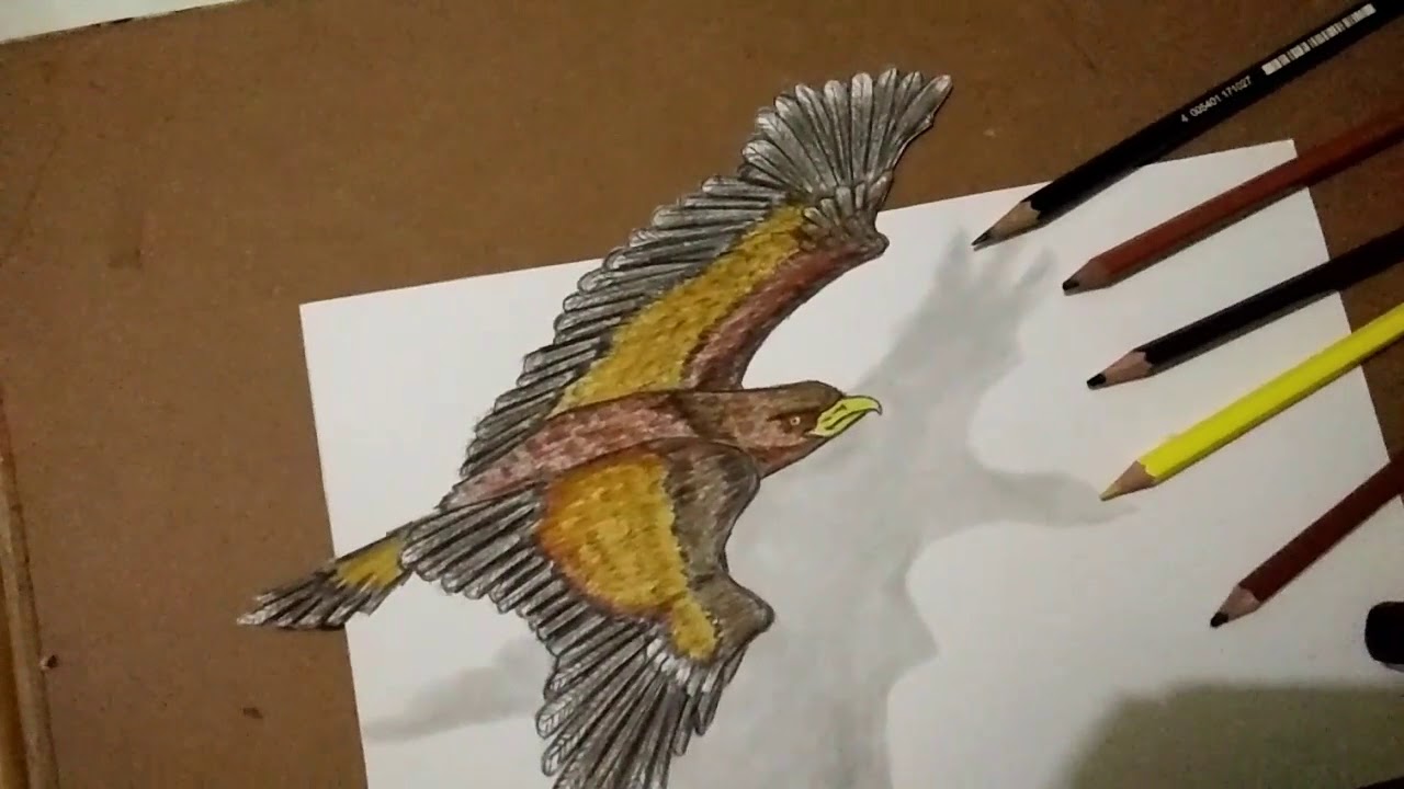 Detail Gambar Burung 3 Dimensi Nomer 15