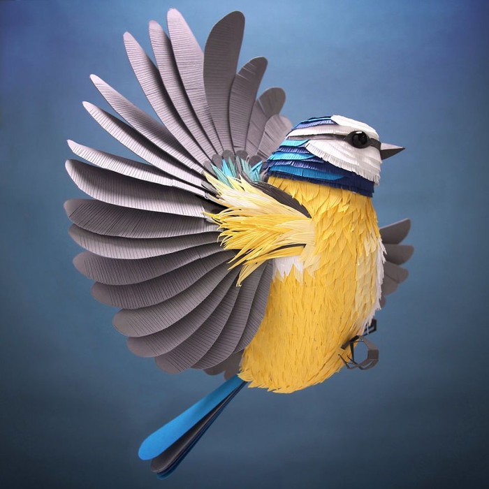 Detail Gambar Burung 3 Dimensi Nomer 18