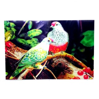 Detail Gambar Burung 3 Dimensi Nomer 3