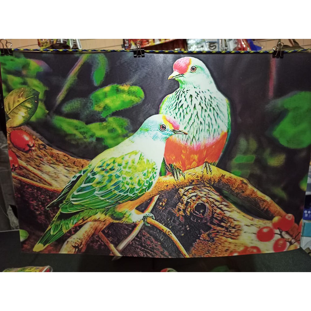 Detail Gambar Burung 3 Dimensi Nomer 21