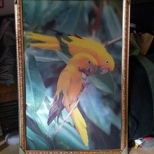 Detail Gambar Burung 3 Dimensi Nomer 22
