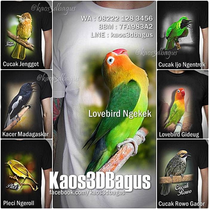 Detail Gambar Burung 3 Dimensi Nomer 24